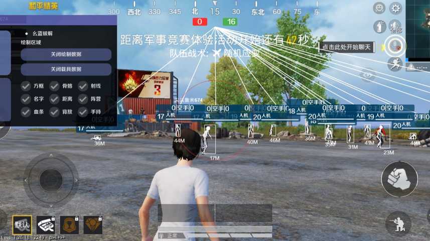 和平精英《向日葵》外挂