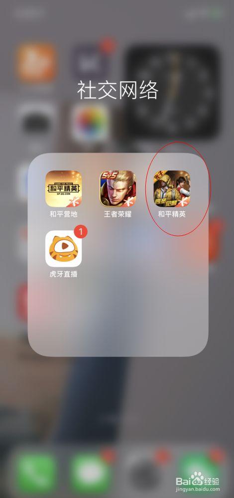 和平精英「雪花」直装辅助